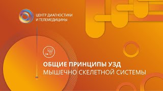 Общие принципы ультразвуковой диагностики мышечно скелетной системы