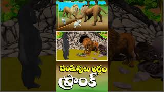 జంతువులు అద్దం ప్రాంక్ | Animal Mirror prank stories Telugu | Animals Mirrors Hilarious Reactions_06