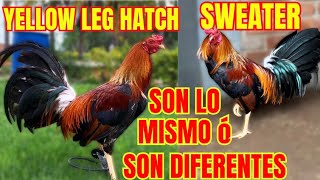 SWEATER y YELOW LEG HATCH... SON LA MISMA LINEA O SON DIFERENTES????