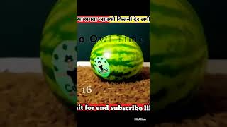 तरबूज एक्सपेरिमेंट - Watermelon Experiment #short #experiment  @MRINDIANHACKER @CrazyXYZ