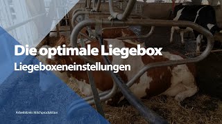 Die optimale Liegebox - Liegeboxeneinstellungen