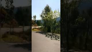 Hills Road 🛣️# YouTube #shorts# short# you tube shorts#hills#road#Amir Shah VLOGS#hills way