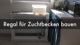 Regal für Wasserfloh-Zuchtbecken bauen | Building a stand for my Daphnia breeding tank