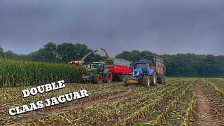 X2 Claas Jaguars 970 dans cette GRANDE parcelle