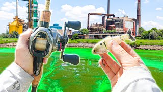 Fishing A TOXIC Chemical Spill For GIANT Fish (Crazy Bites)