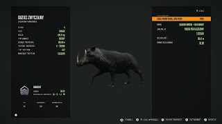 theHunter: Call of the Wild 💎 DIAMENTOWY 💎 Guziec 🐗 zwyczajny