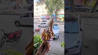 Icecream Cone #adnankhawaja #summervibes #karachi #shorts