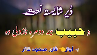 Pashto Naat | Qari Mahmood Shakir pashto naat 2023 دحبیب مینہ دومرہ نازولی دہ پشتو نعت