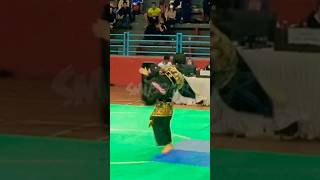 Pencak Silat Ganda Putri Indonesia🇮🇩🔥 #pencaksilat #smifighter #martialarts #pesilat #silat