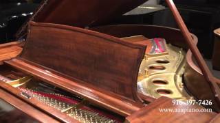 Steinway O Grand Piano | AAA Piano