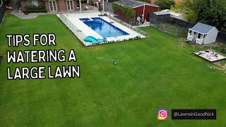 Tips for watering a large lawn // travelling sprinkler review