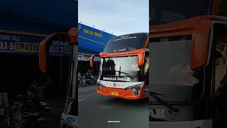 bus rosalia indah skylander r22 surabaya - jakarta