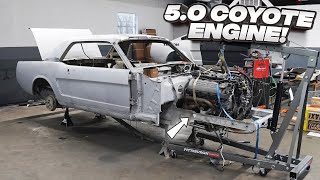 5.0 Coyote Swapping My 1965 Mustang!(WILL IT FIT?)