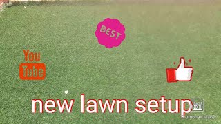 new lawn setup in my garden