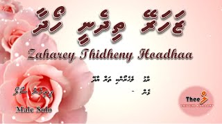 Zaharey thidheny hoadhaa MALE SOLO by Theel Dhivehi Karaoke lava track