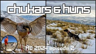 Chukars & Huns Amongst Friends, 2024 part 2