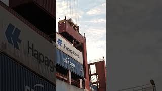 Monster Crane Petikemas🚢🏗Biggest Container Ship #shorts #crane #monster #container #petikemas #viral