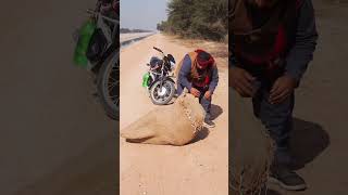 bike wala aur bori || #shorts #viral #funny #funnyvideo