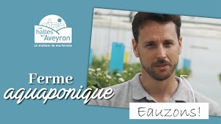 L'aquaponie : des fruits et légumes savoureux et écolo - Les Halles de l’Aveyron