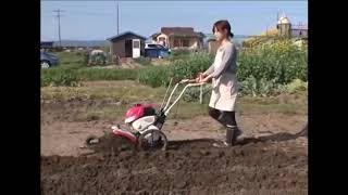 Mini-cultivator