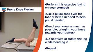 Prone Knee Flexion