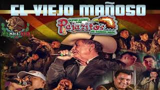 EL VIEJO MANOSO | LOS PAJARITOS