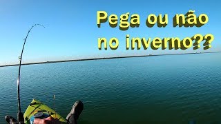 Pesca de Tucunaré no Inverno, afinal pega ou não pega?