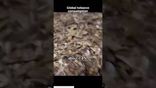 global tobacco consumption #factoryproduction #tobacco