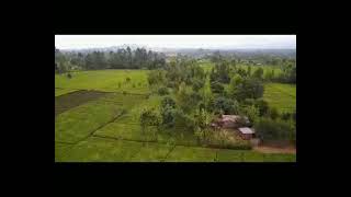 kirinyaga village tour