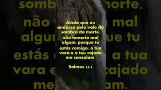 SALMOS 23 BIBLIA FALADA