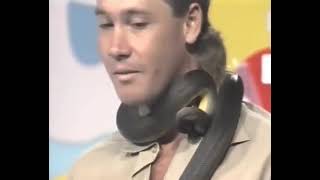 Steve Irwin casually reacts to being bitten by a snake live on Aussie TV in 1991. #steveirwin #snake