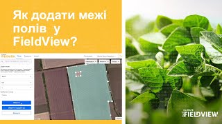 Як додати межі полів у FieldView?