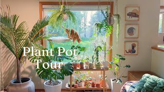 Plant Pot Tour | my collection of planters