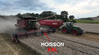 😍 2x CASE AXIAL FLOW🔴 | FENDT 942 & PERARD INTERBENNE 46 🔴 XXL HARVERST  🤩 !!