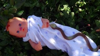 NOVELINHA de BONECA - Bebê abandonado é picado por cobra - 1ª parte