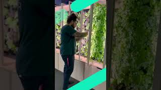 Colt's office farm | Colt #shorts #technology