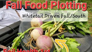 Fall Food Plots For Whitetails