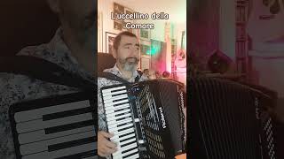 L'uccellino della Comare - Folk Song Italian  #accordeon #musica #music #fisarmonicista