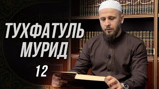 Тухфатуль Мурид 12-й урок (تحفة المريد)