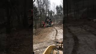 Prentice feller buncher killing trees in NH