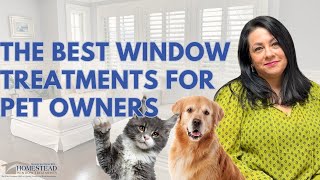 Got Pets? Here's How to Choose the Best Window Treatments for Pet Owners on Long Island