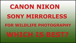 Canon Nikon or Sony, which is the best for wildlife photography?