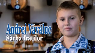 ANDREI VAVALUC . Sarba fratilor (oficial video)