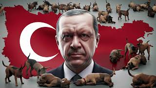 Dramatische Situation der Hunde in der Türkei - Ein Aufruf zum Handeln #türkei #erdoğan #erdogan