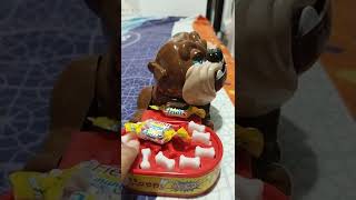 Grumpy dog likes the chewy mango flavor #asmr #shorts #best #trendy #grumpydog