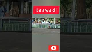 Kaawadi dance🙏🙏👃👃👃, Dancing group #shorts #shorts video