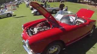 Alfa Romeo Giulia Spider ( European Car Meeting 10/17/2015 Greenville, SC)