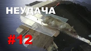 #12. Охота на крыс с ловушкой “HWRAT-MAGNET“. Неудача