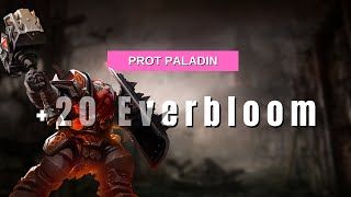 Protection Paladin +20 Everbloom - feels AMAZING