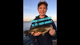 Found A School Of Fall Bass in 20+ mph Wind!!!